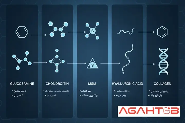 عملکرد قرص‌های غضروف ساز